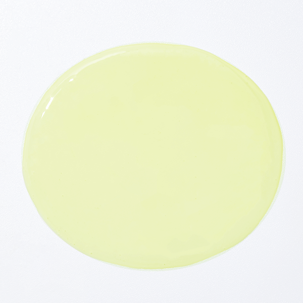 ベルティーシャンプー